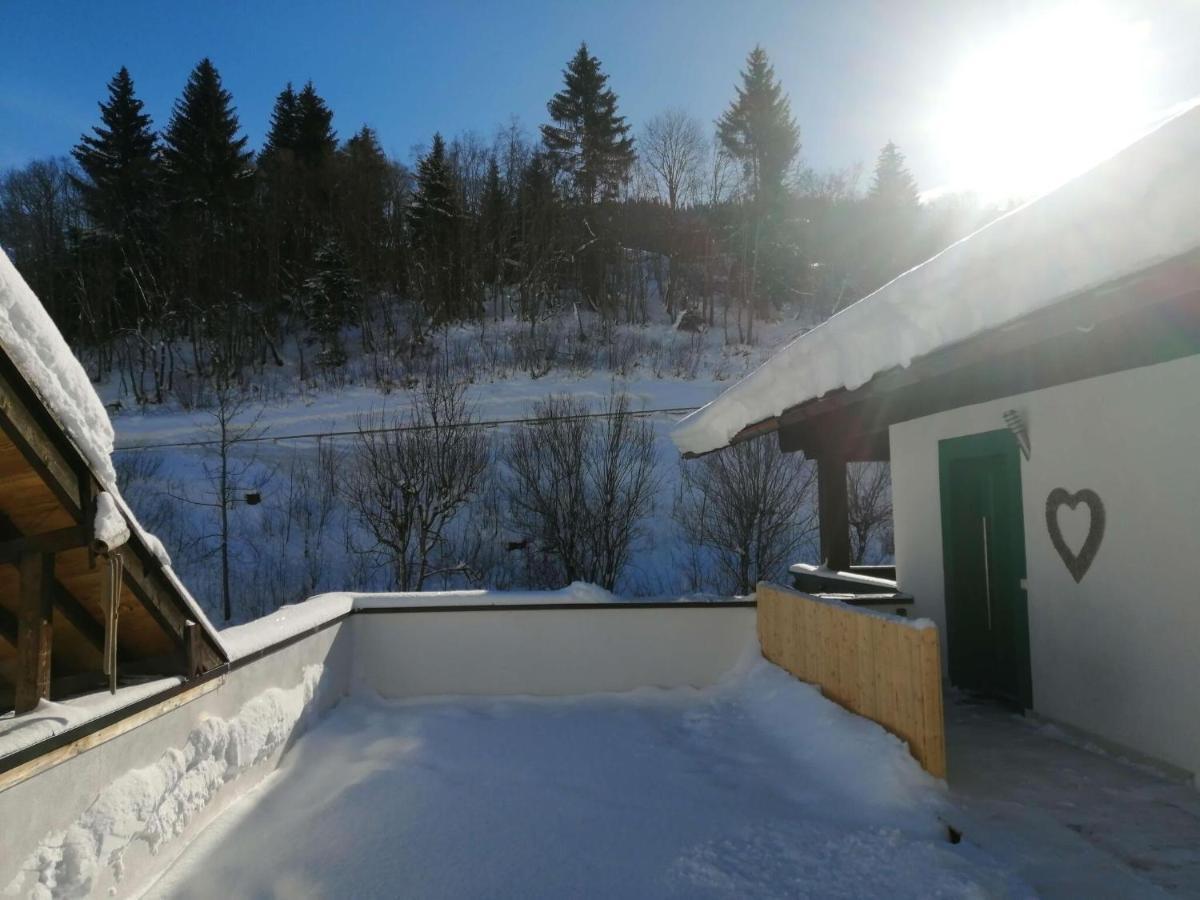 Apartment In Dienten With Mountain Views Dienten am Hochkönig Extérieur photo